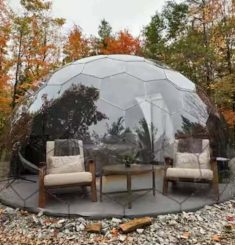 WhatsApp Image 2026-01-29 at 1.25.14 PM