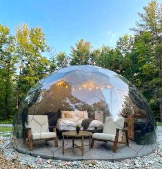 WhatsApp Image 2026-02-05 at 12.09.24 PM